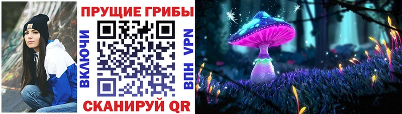 MEGA рабочий сайт  Воронеж  Галлюциногенные грибы мицелий 