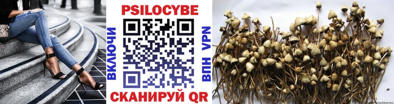 Галлюциногенные грибы Magic Shrooms Воронеж